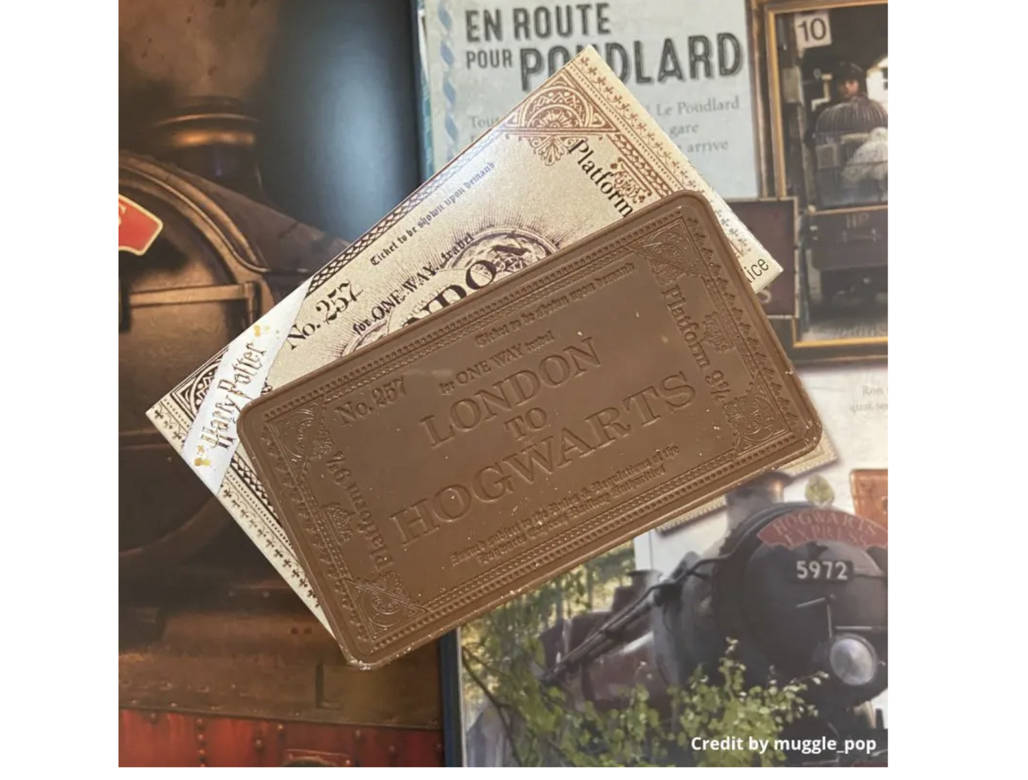 Biglietto di Cioccolato Hogwarts Express